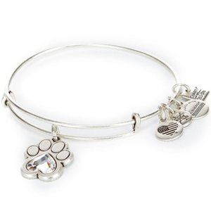 Alex and Ani: Prints of Love 🖤